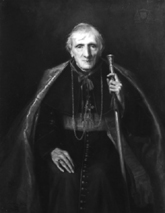 Kardinaal