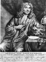 Zonder