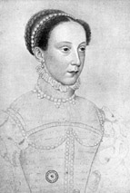 Koningin