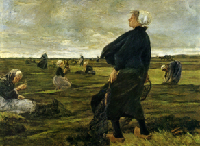 Zonder