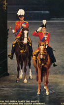 Koningin