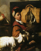 Zonder