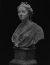 Lady